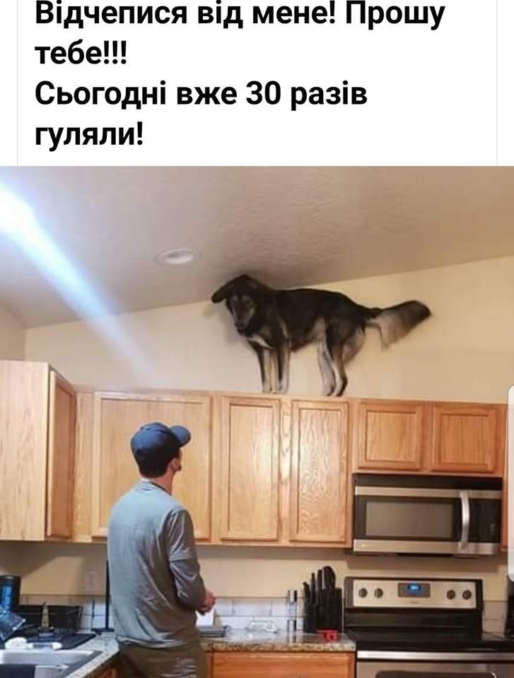 Досить скиглити: кращі меми про коронавірус, фото-15 Досить скиглити: кращі меми про коронавірус, фото-15