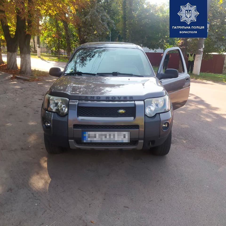 В Борисполі патрульні притягнули до відповідальності водія,..., фото-1 В Борисполі патрульні притягнули до відповідальності водія, що збив собаку, фото-1